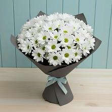 Букет цветов из:  Хризантемы в Москаленках