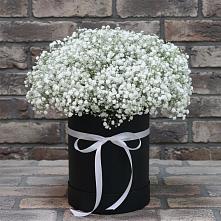 Цветочная композиция из Гипсофила в шляпной коробке в Москаленках