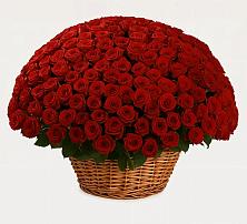 Премиум букет из: Розы #REPLACE_PRED# Москаленках